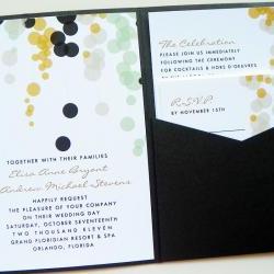 Pocketfold Wedding Invitations - Modern Bubbles Signature Pocketfold Invitation Suite